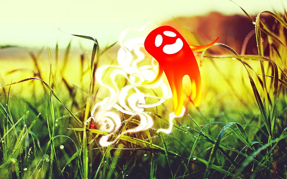 green grass field HD wallpaper